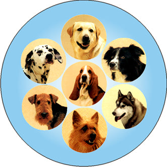 DOG03
