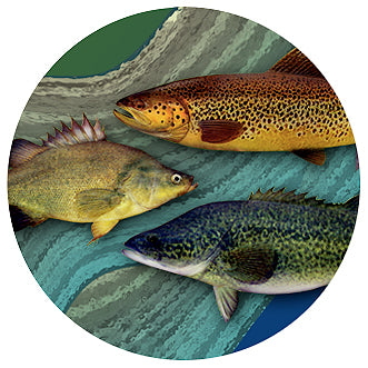 FISH08