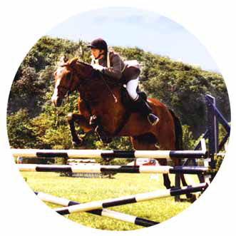 HORS02