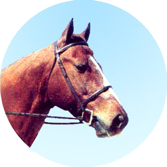 HORS01