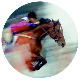 HORS08