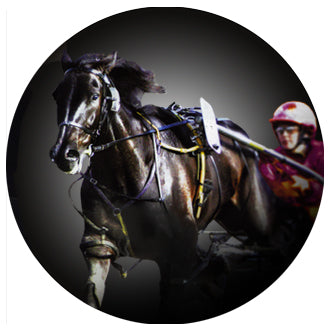 HORS10