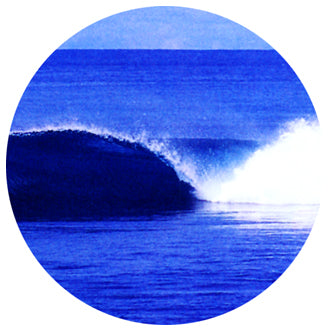 SURF04