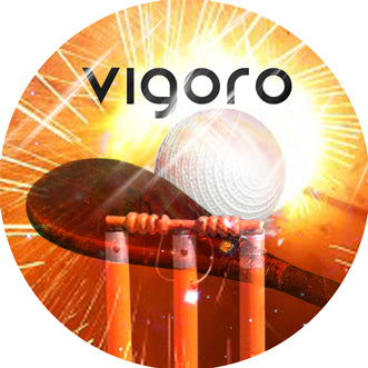 VIGO02